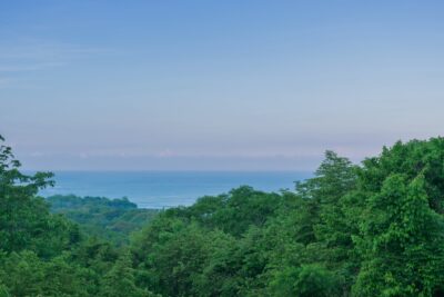 Vue depuis la chambre de l'hôtel Casa Chameleon