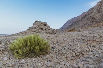 Au pied du Jebel Hafeet