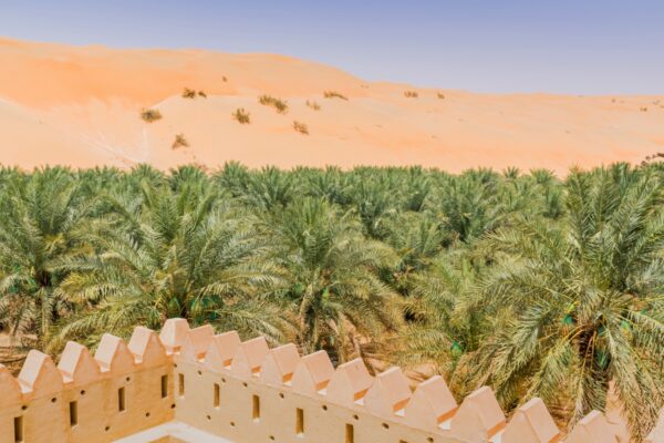 Fort dans l'oasis de Liwa aux UAE