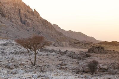 Jebel Hafeet au coucher de soleil