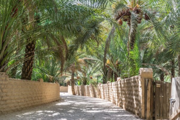 Oasis d'Al Aïn, UAE