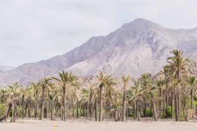 Paysage vu lors d'un road trip aux UAE