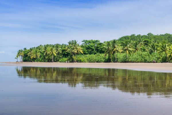 Plage du Parque Nacional Marino Ballena