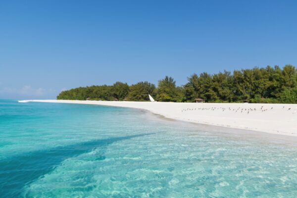 Île de Mnemba, archipel de Zanzibar