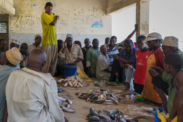 Marché aux poissons de Matemwe