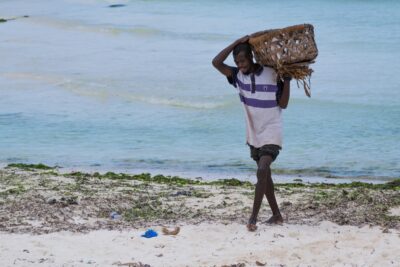 Pêcheur sur la plage de Kizimkazi