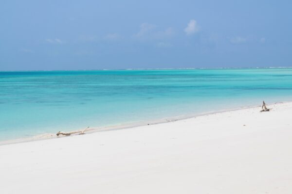 Plage de Mnemba Island à Zanzibar