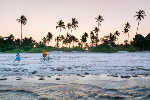 Que faire à Zanzibar