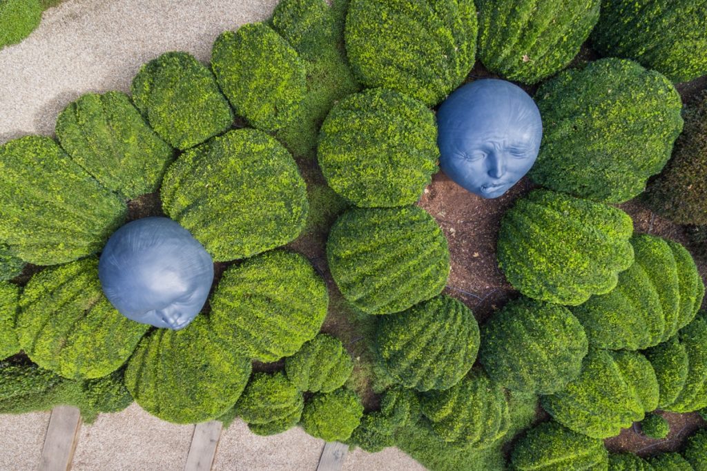 Vue plongeante sur les jardins d'Etretat