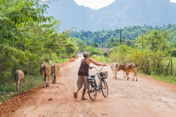 Dans la campagne proche de Vang Vieng