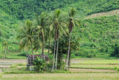 Paysage du nord Laos