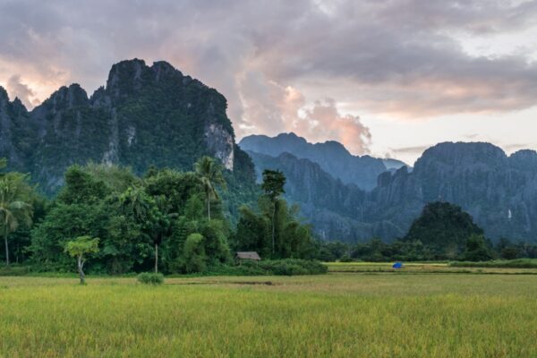 Rizière à Vang Vieng au Laos