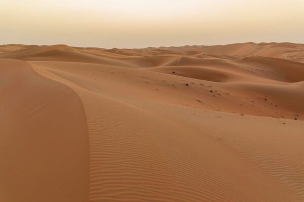 Wahiba Sands à Oman