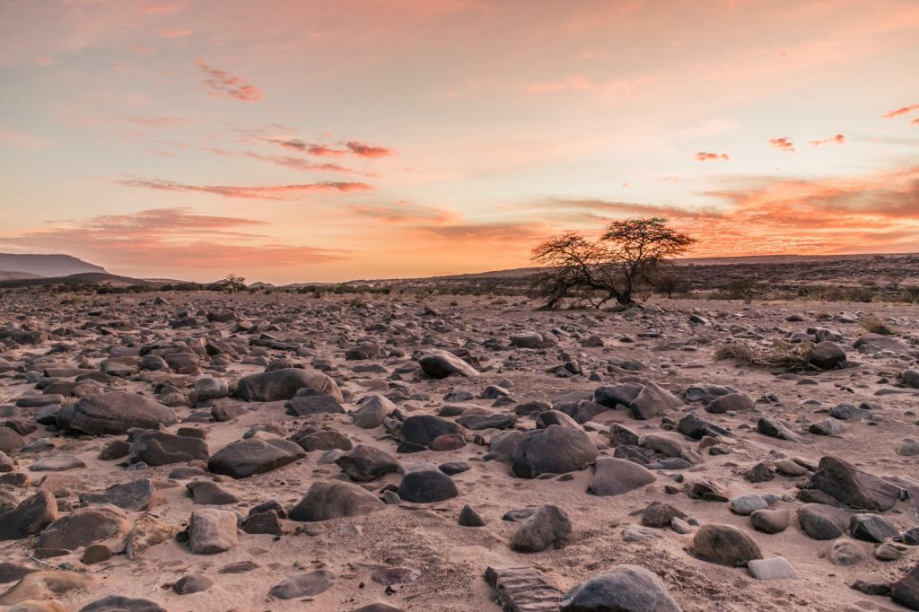 Coucher de soleil sur un reg de Mauritanie