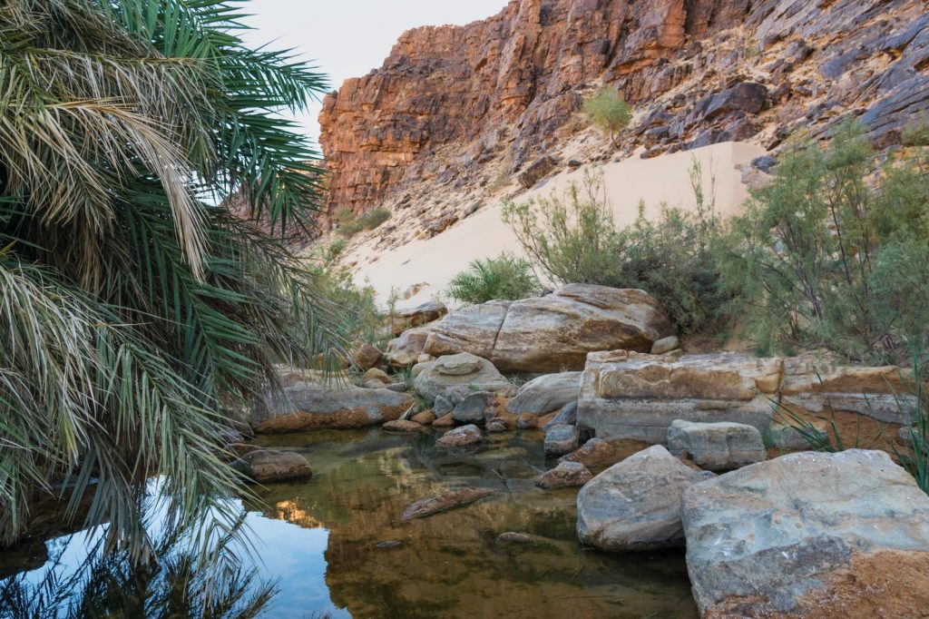 Guelta dans l'Adrar en Mauritanie