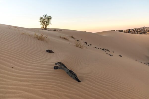 Lever de soleil en Mauritanie dans l'Adrar