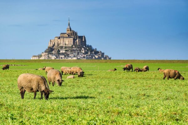 Baie du Mont Saint Michel