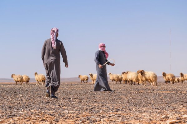 Voyage en Jordanie : bergers