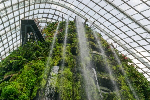 Cloud Forest à Singapour