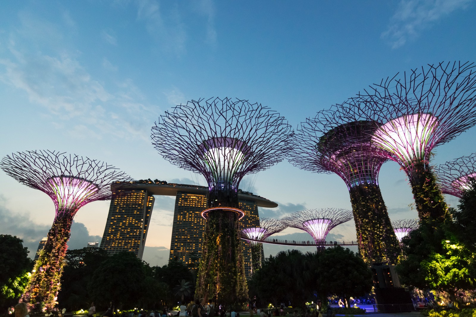 Gardens By The Bay Singapour Un Incontournable