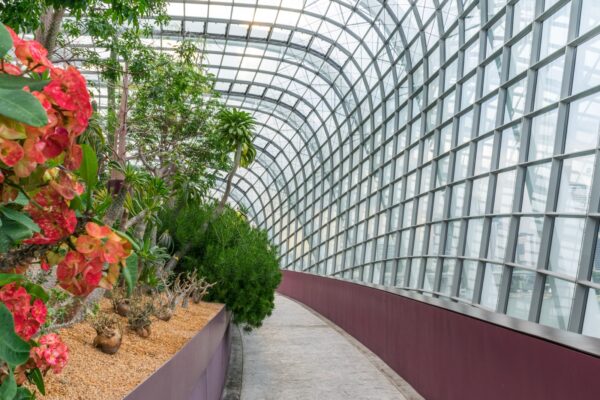 Flower dome à Singapour