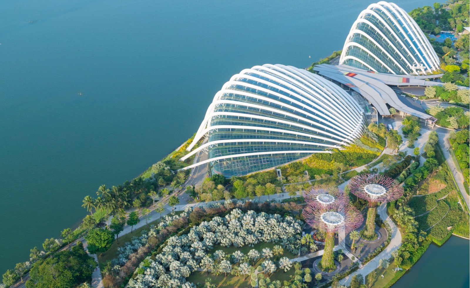 Gardens By The Bay Singapour Un Incontournable
