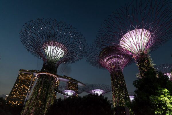 Nuit aux Gardens by the Bay à Singapour
