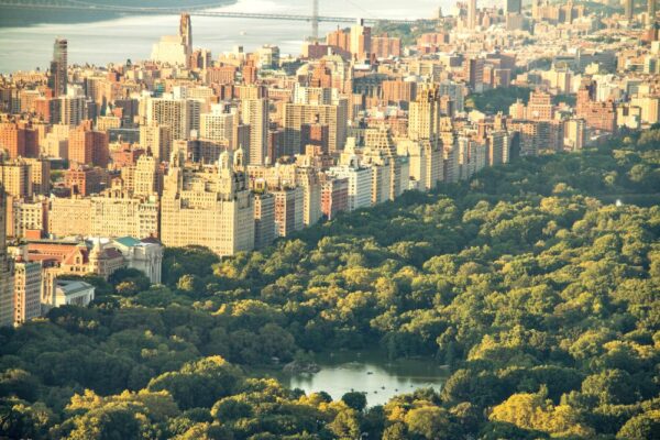 Vue sur Central Park