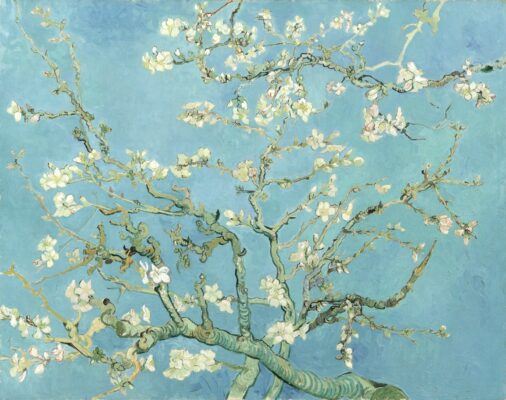 Amandier en fleurs de Vincent Van Gogh