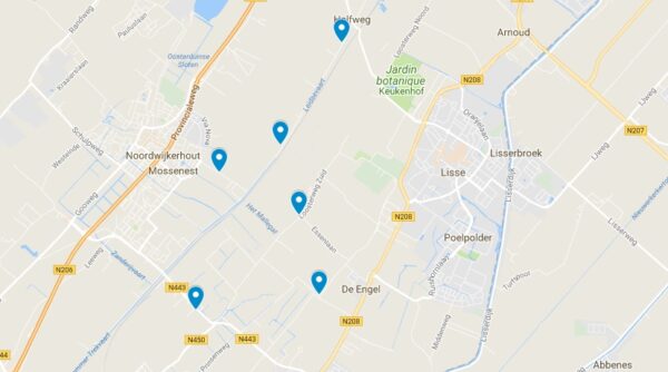 Carte des champs de tulipes en Hollande près de Lisse