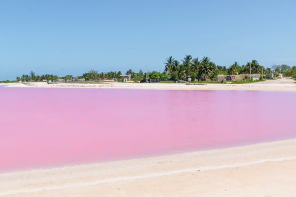 Las Coloradas dans le Yucatan au Mexique