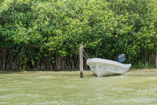 Muyil dans le Yucatan