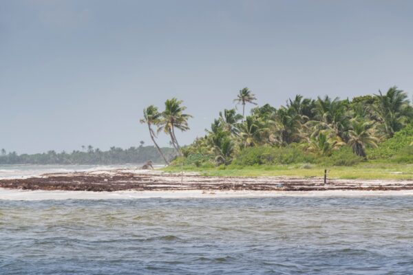 Plage de Sian Ka'an dans le Yucatan