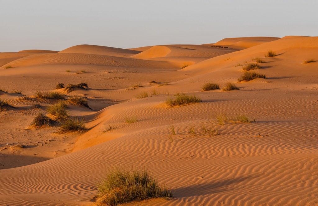 Wahiba Sands, désert à Oman