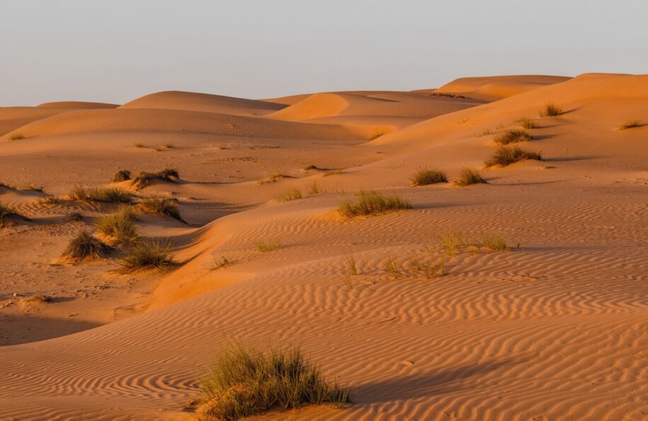 Wahiba Sands, désert à Oman