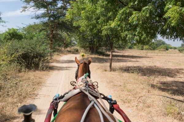 Calèche à Bagan