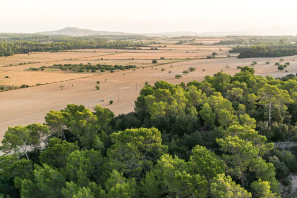 Majorque depuis une montgolfière