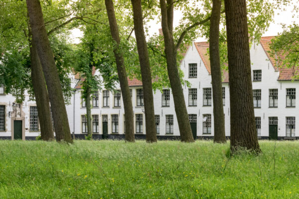 Béguinages de Bruges : visite incontournable