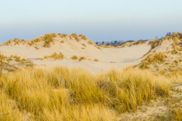 Bray-Dunes sur la Côte d'Opale