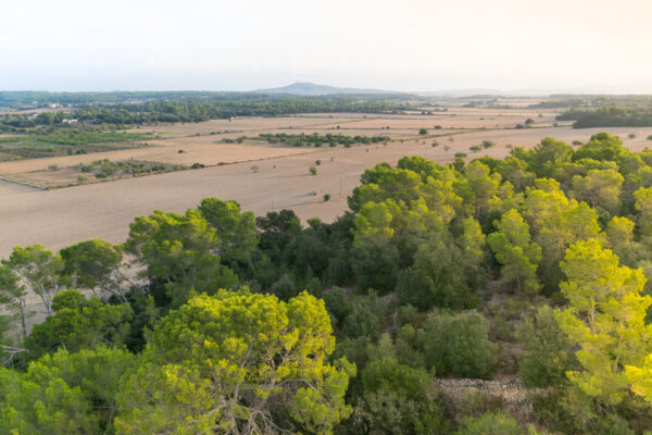 Campagne majorquine depuis une montgolfière