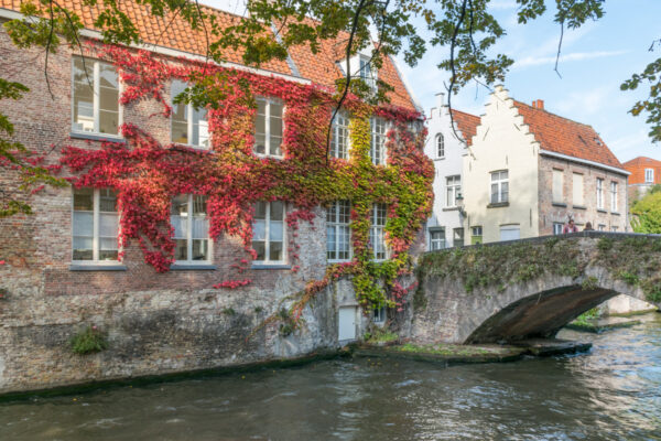 Canal à Bruges en automne