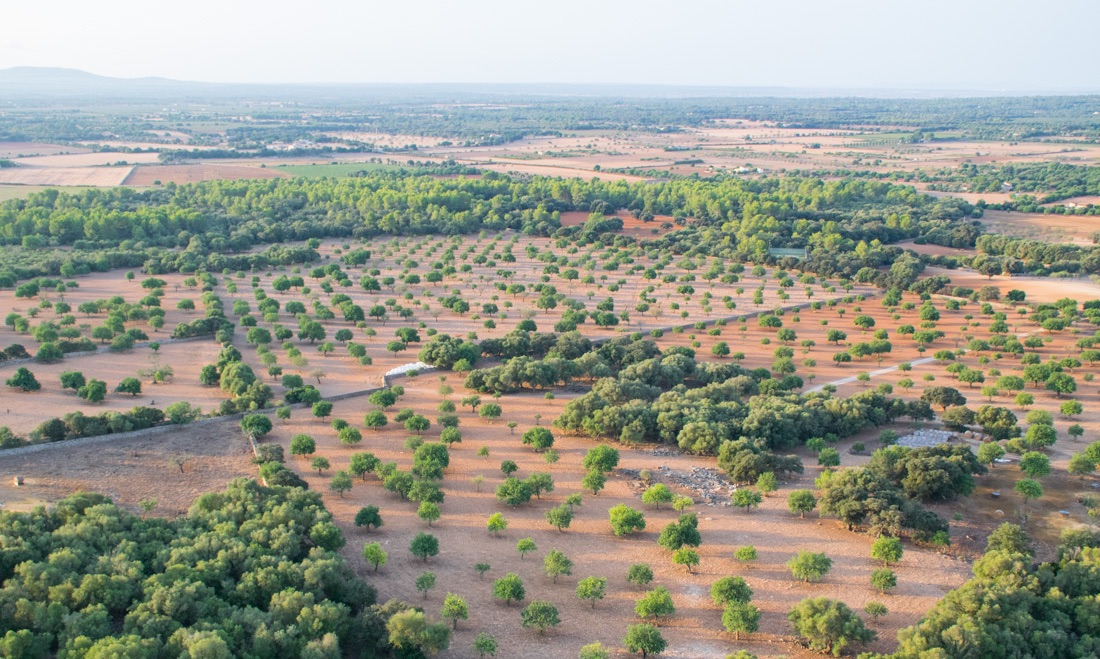 Montgolfière à Majorque