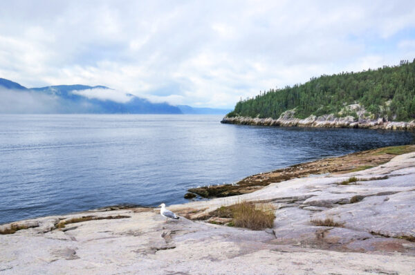 Tadoussac au Québec : baleines et d'autres activités