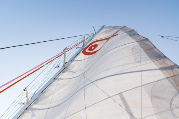 Voile du catamaran à Majorque