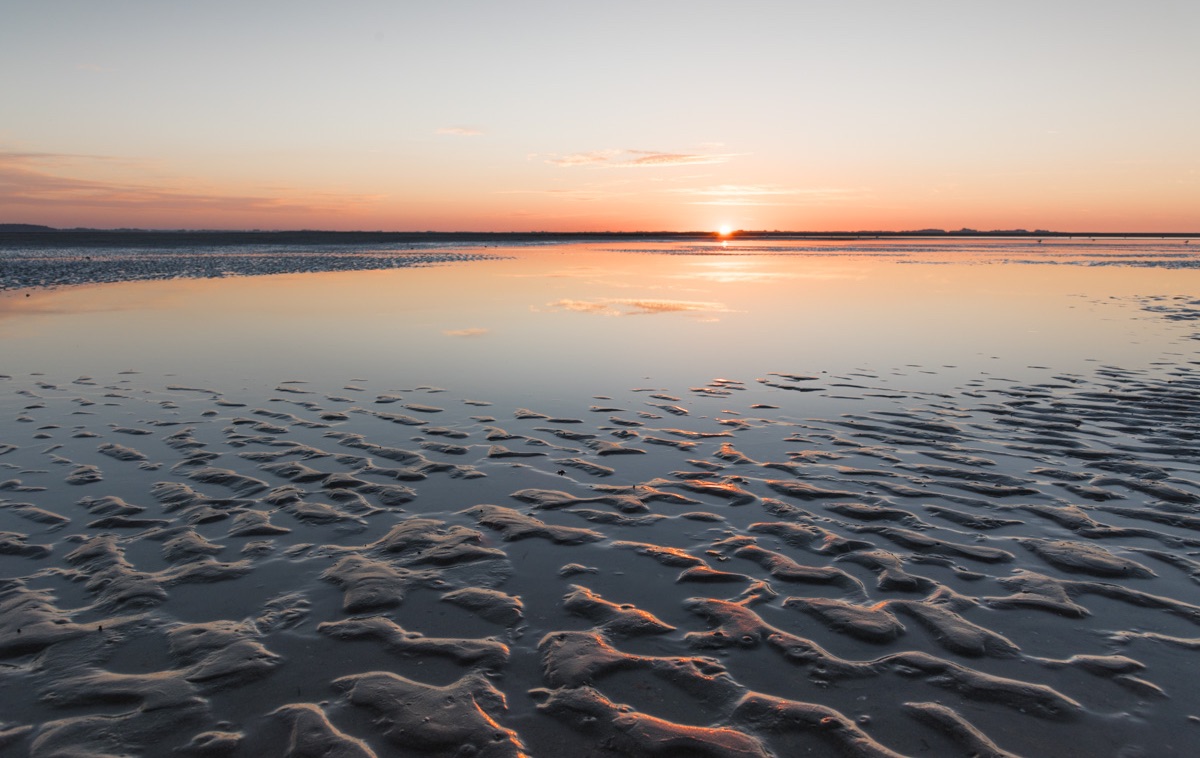 Baie de Somme : à voir, à faire