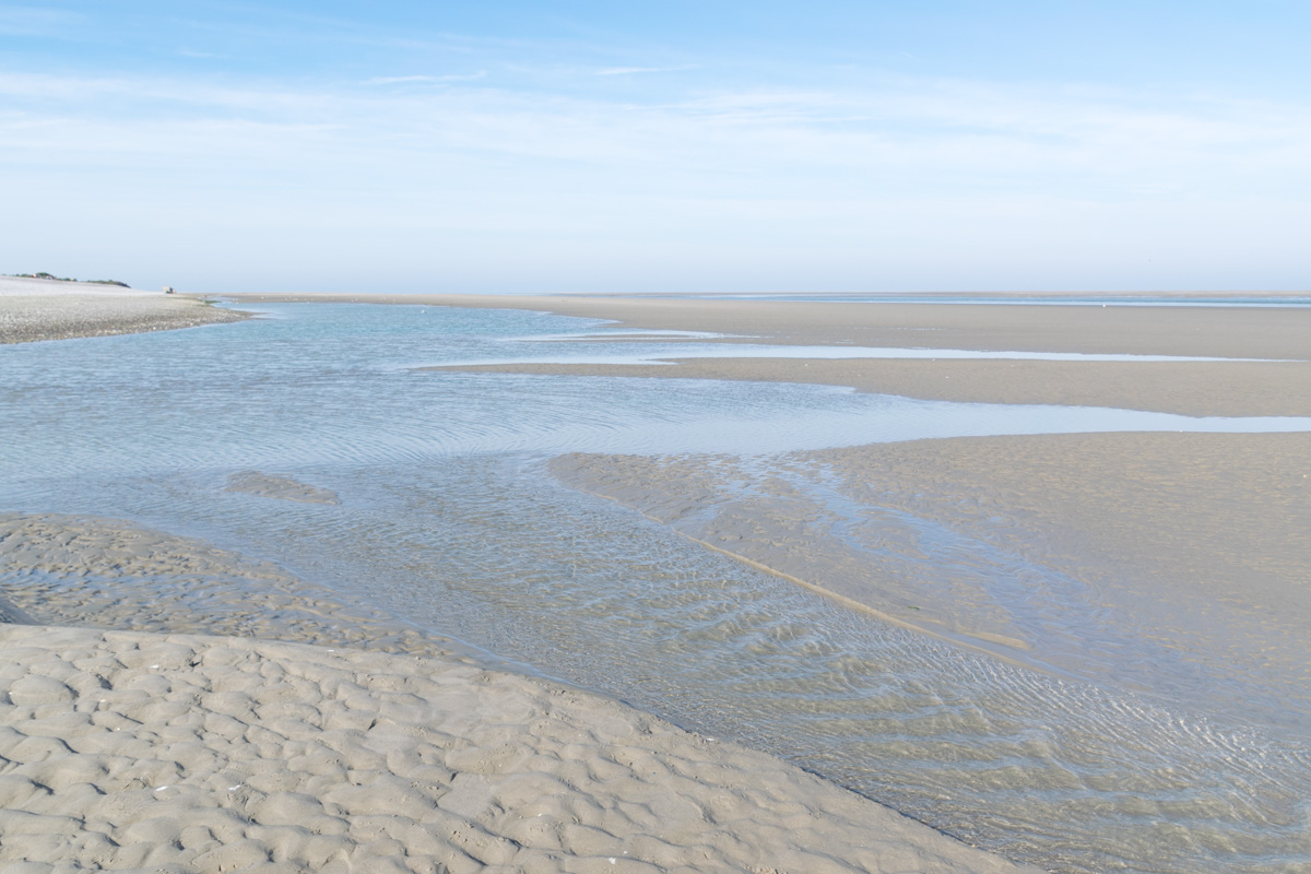 la tour blanche baie de somme