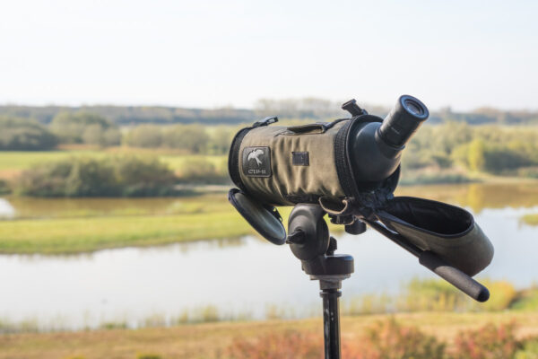 Observation des oiseaux dans la baie de Somme