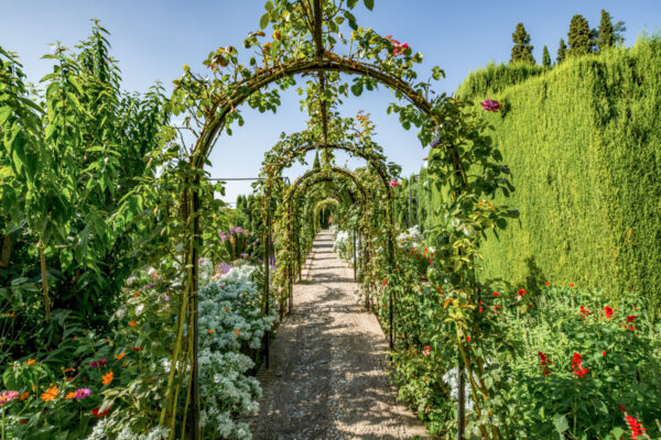 Jardins Generalife à l'Alhambra de Grenade