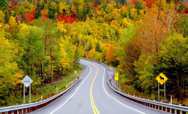 Road trip au Québec