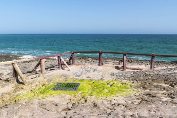 Blowholes à Mughsayl - Dhofar